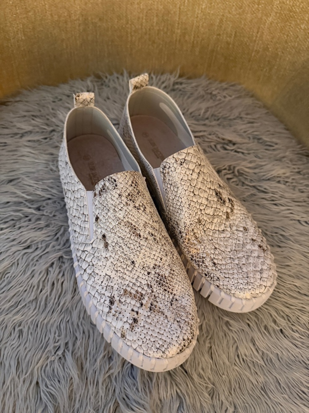 Slip-On Women’s Sneakers in Cream Snake Print